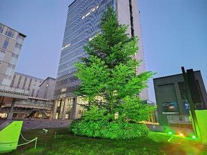 260602-2_3.jpg